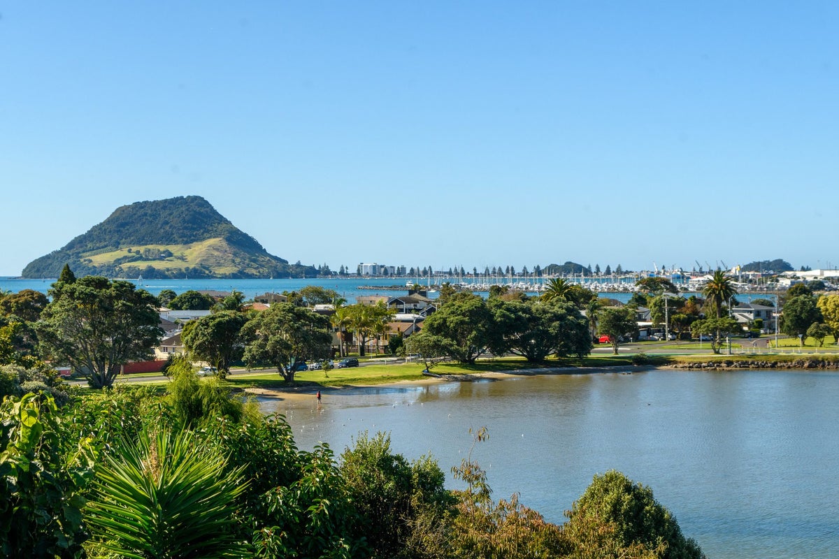 100 Maxwells Road, Otumoetai, Tauranga - Carousel 1