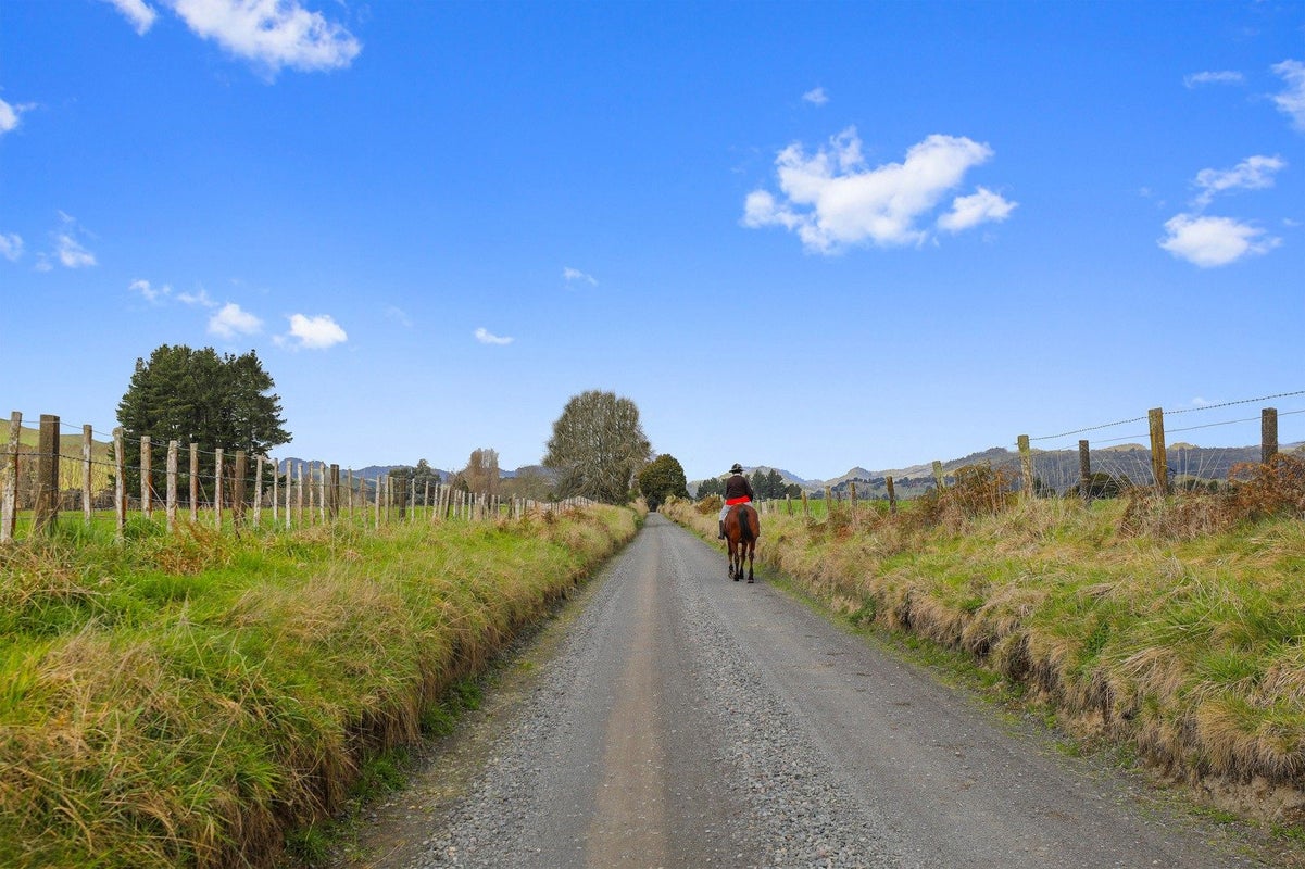 205 Te Rena Road, Kakahi - Carousel 36