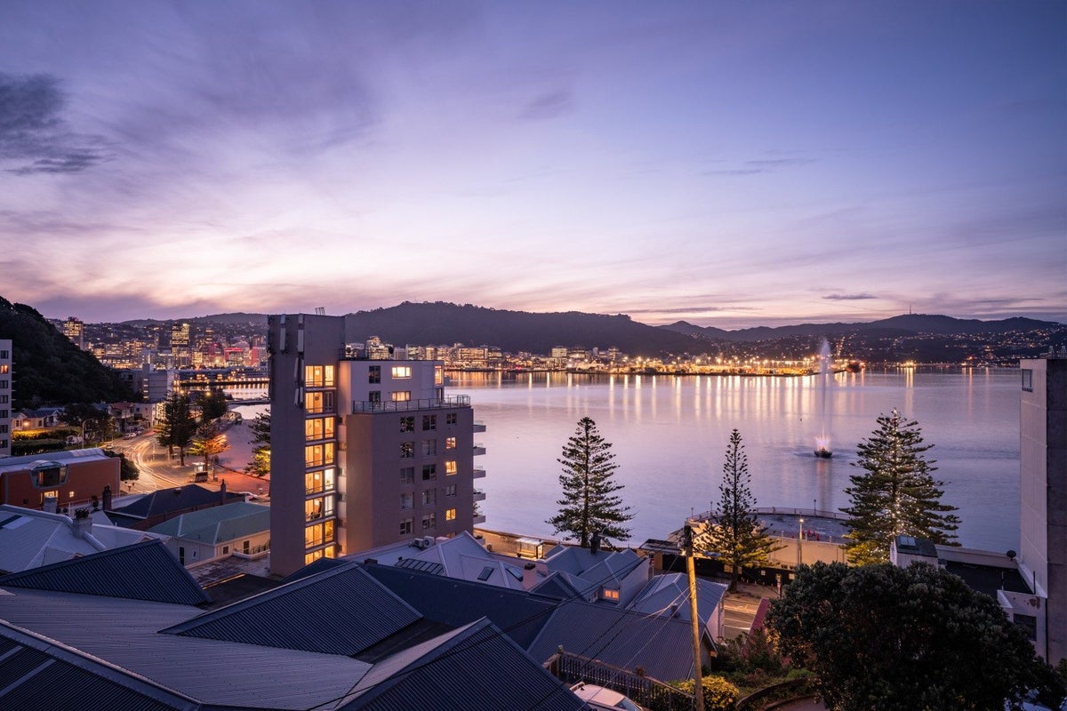 4 Baring Street, Oriental Bay, Wellington - Carousel 2