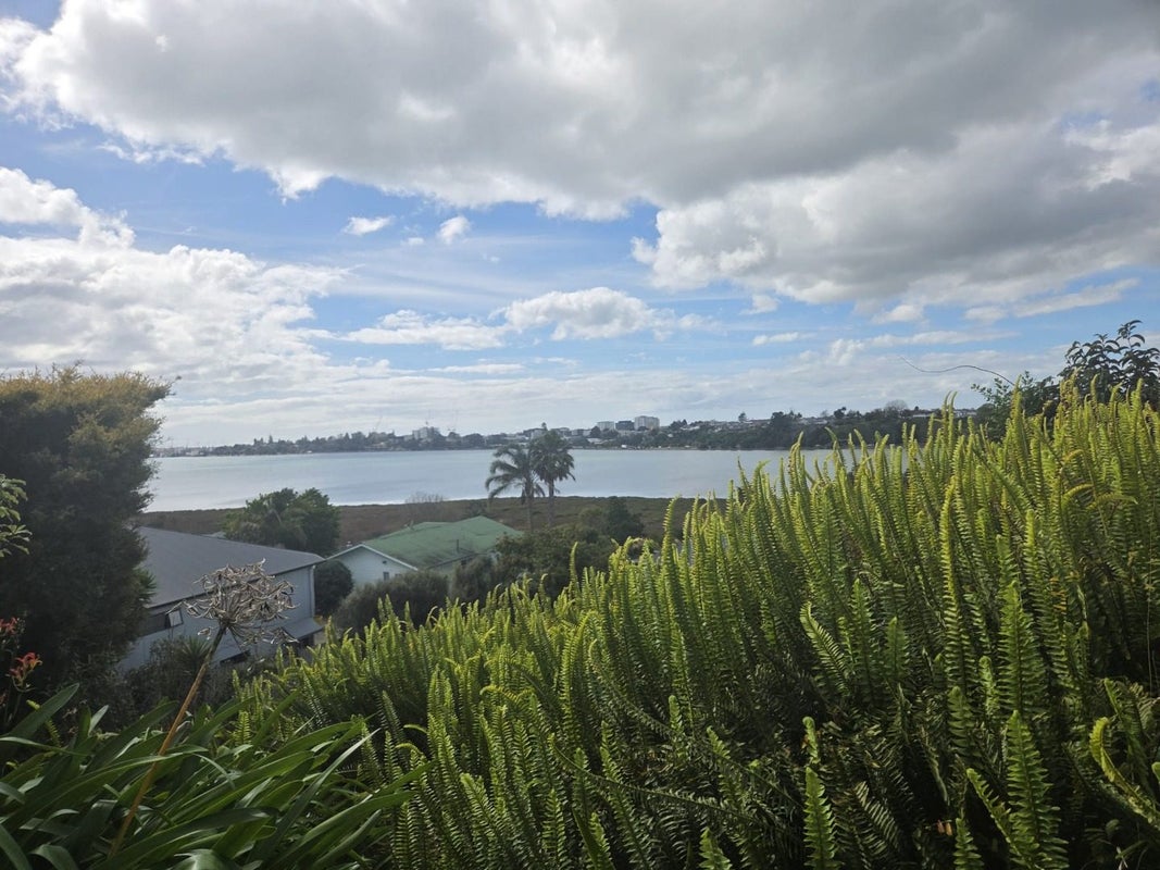 41 Judea Road, Judea, Tauranga - Carousel 1