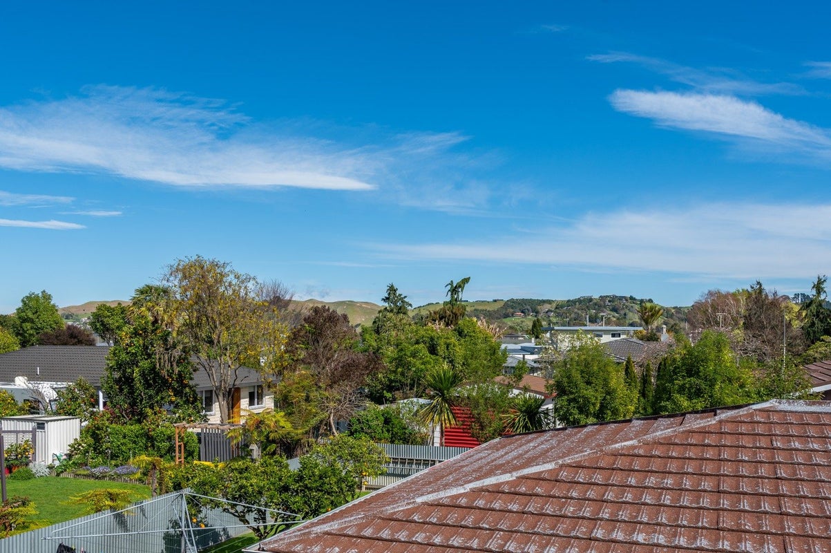 53 Elbourne Street, Taradale, Napier - Carousel 21
