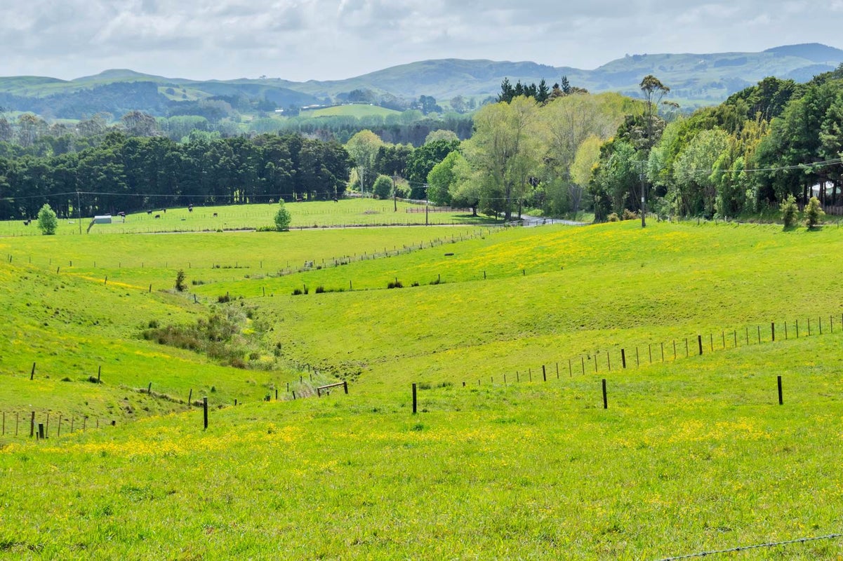 6 Clements Hill Lane, Kaipara Flats, Warkworth - Carousel 2