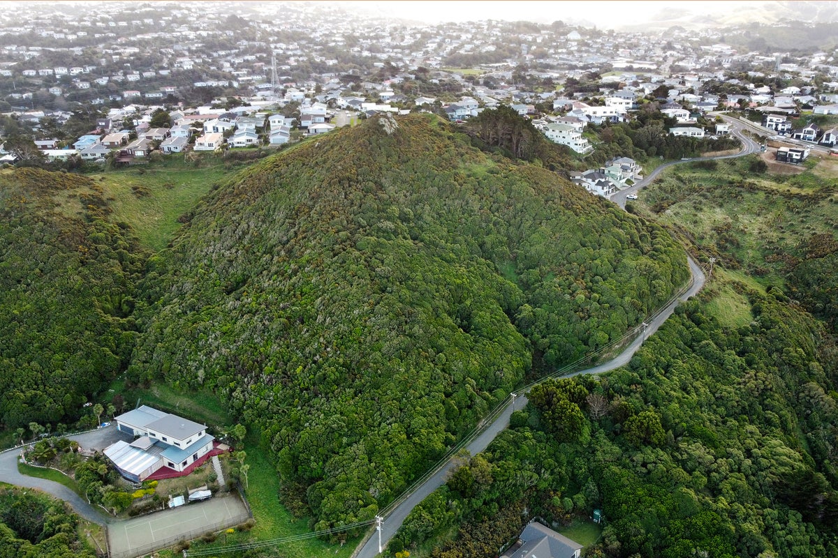 166 Glanmire Road, Newlands, Wellington - Carousel 2