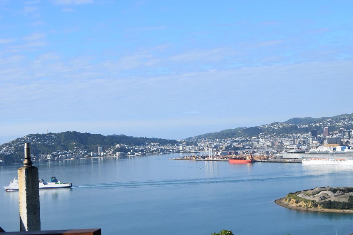 100 Amritsar Street, Khandallah, Wellington - Carousel 1
