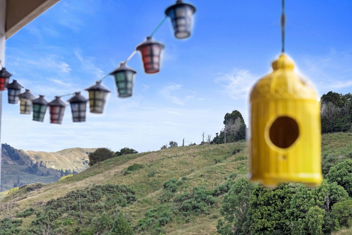 645 State Highway 16, Kumeu - Carousel 29