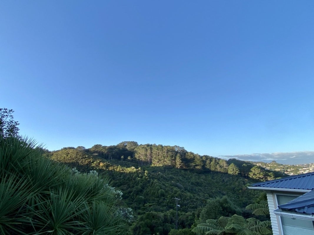 123 Makara Road, Karori, Wellington - Carousel 10