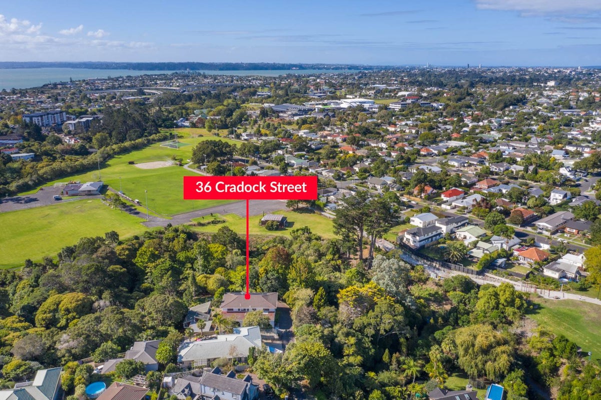 36 Cradock Street, Avondale, Auckland - Carousel 21