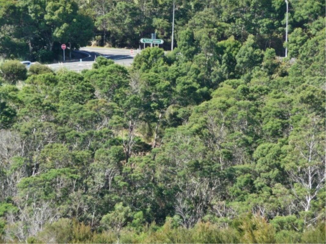 27 Richmond Road, Mangonui, Mangonui - Carousel 2