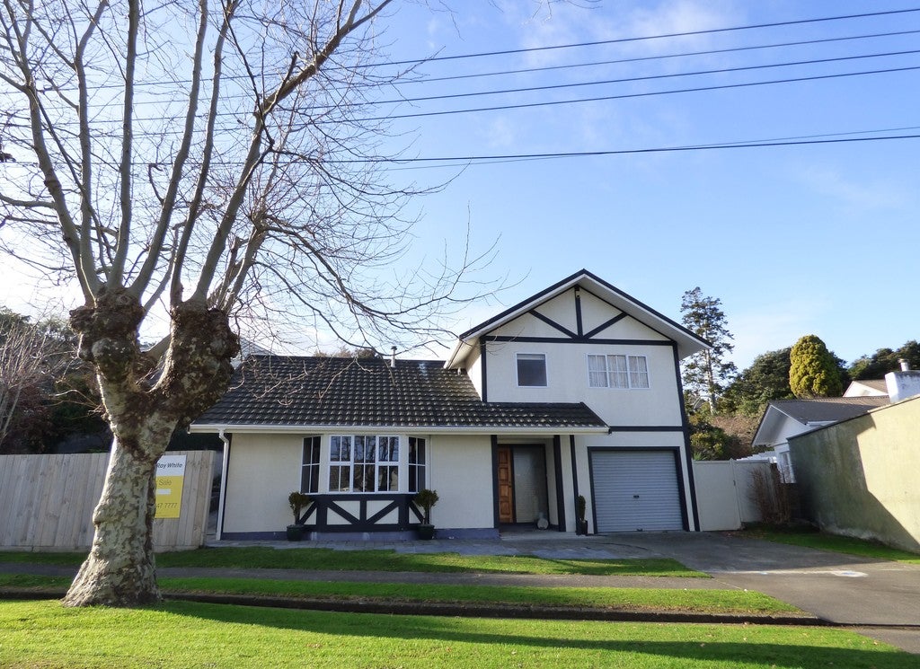 20A Kent Road, Saint Johns Hill, Whanganui - Carousel 1