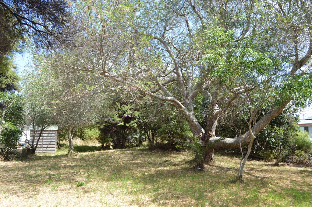 22 North Avenue, Mangawhai Heads, Mangawhai - Carousel 1