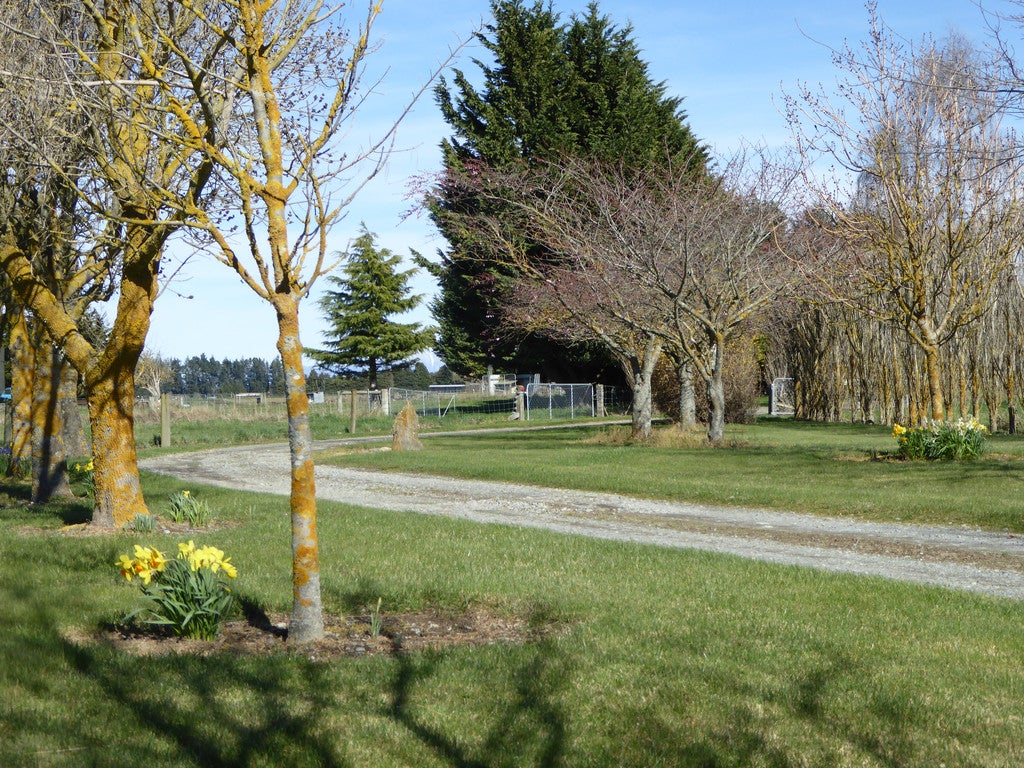 265 Mount Hutt Station Road, Rakaia - Carousel 20