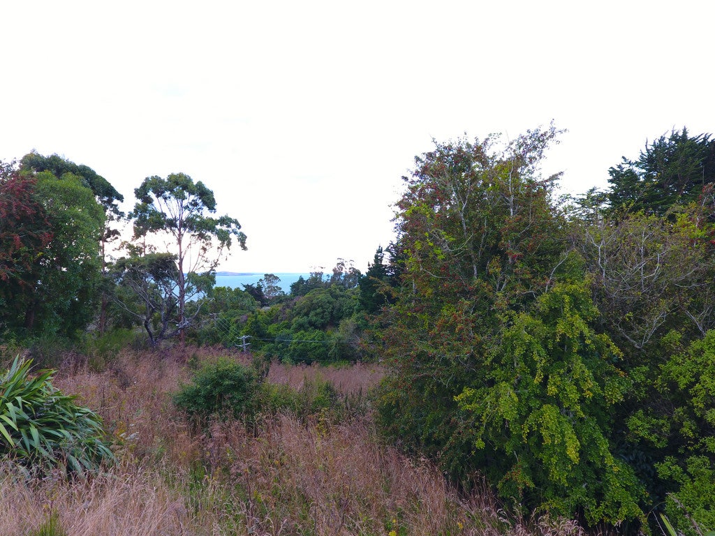 14 Tenby Street, Palmerston - Carousel 4