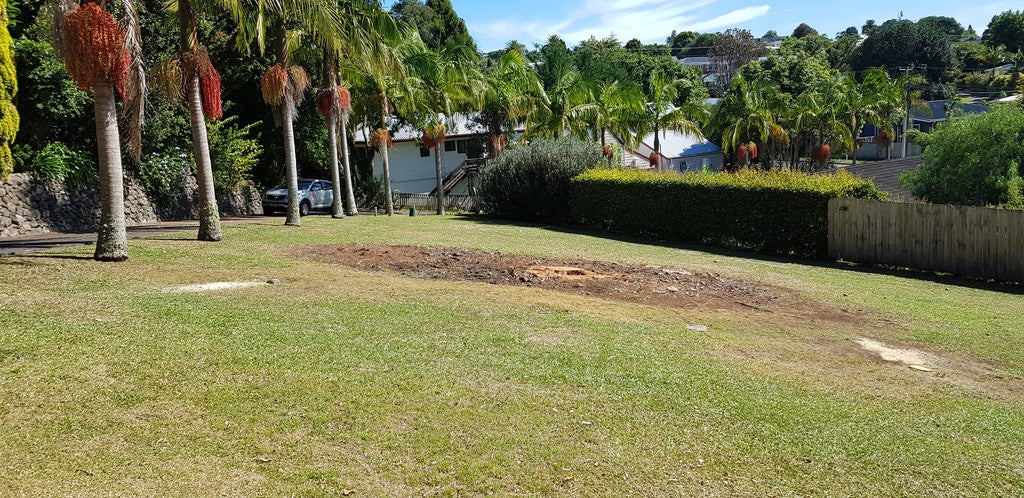 359 Kamo Road, Kamo, Whangarei - Carousel 2