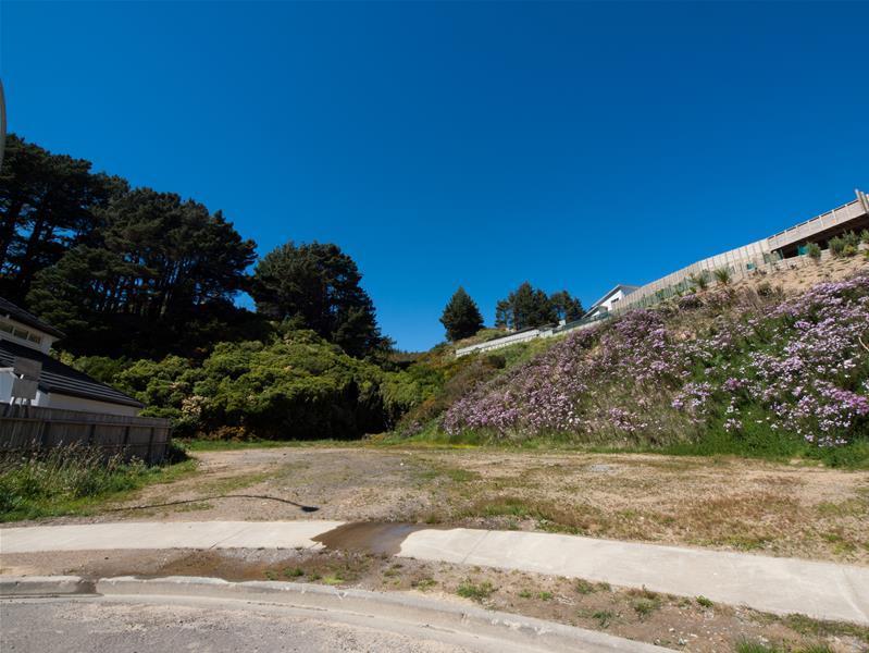 14 Sedgley Grove, Churton Park, Wellington - Carousel 2