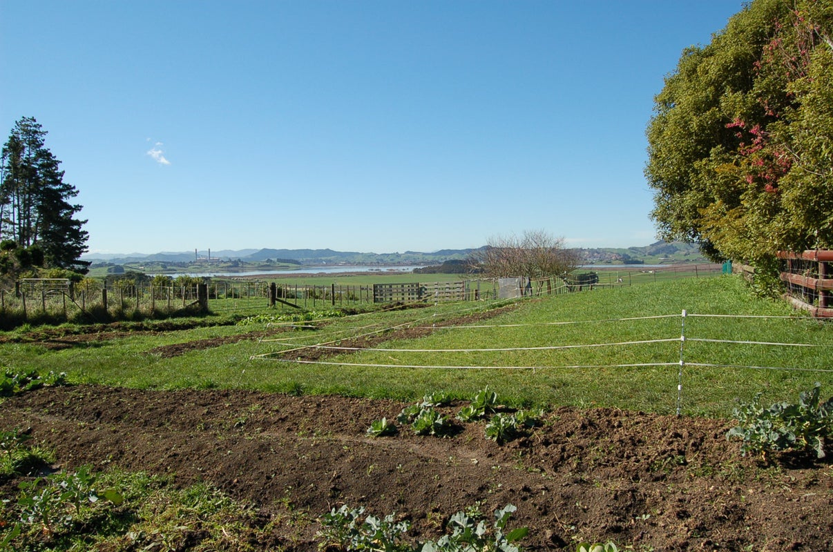 264 Ginn Road, Rotowaro - Carousel 9