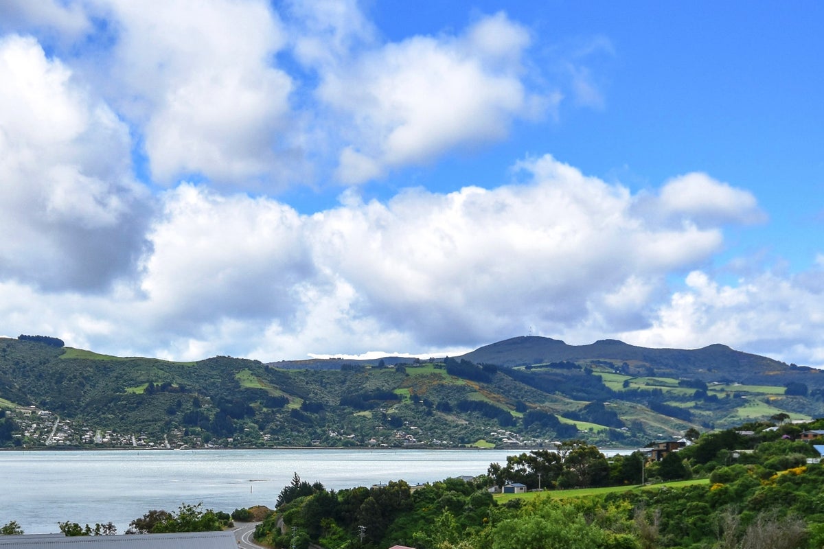 104 Mission Cove, Company Bay, Dunedin - Carousel 20