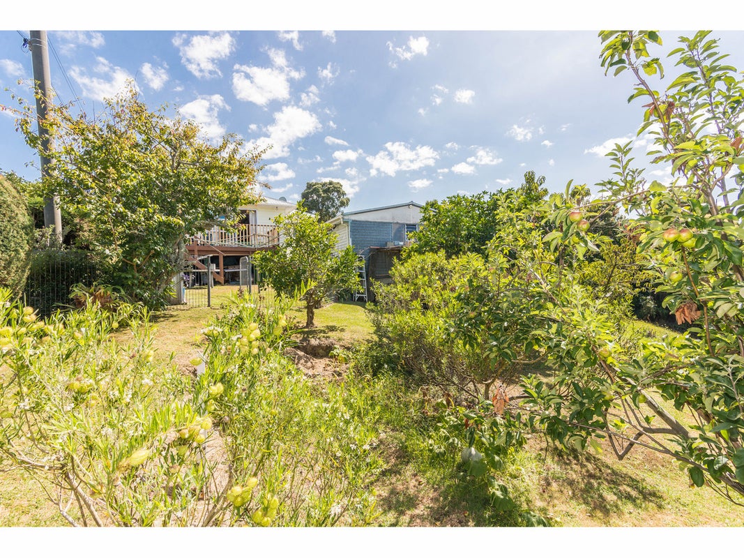 7 Leinster Street, New Windsor, Auckland - Carousel 2