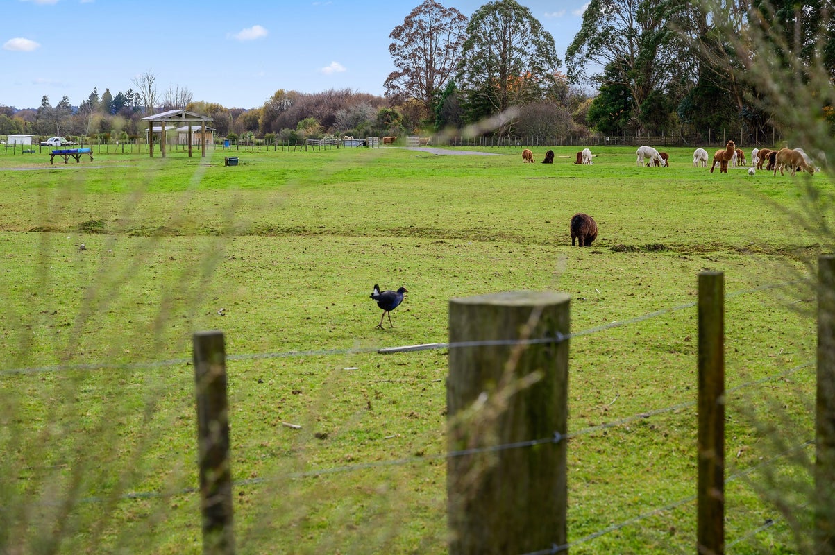 36 Barnard Road, Fairy Springs, Rotorua - Carousel 15
