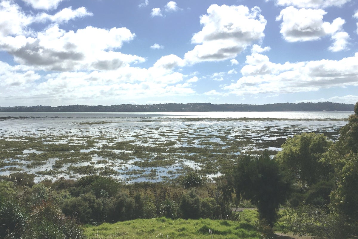 38A Rewarewa Road, Te Atatu Peninsula, Auckland - Carousel 2