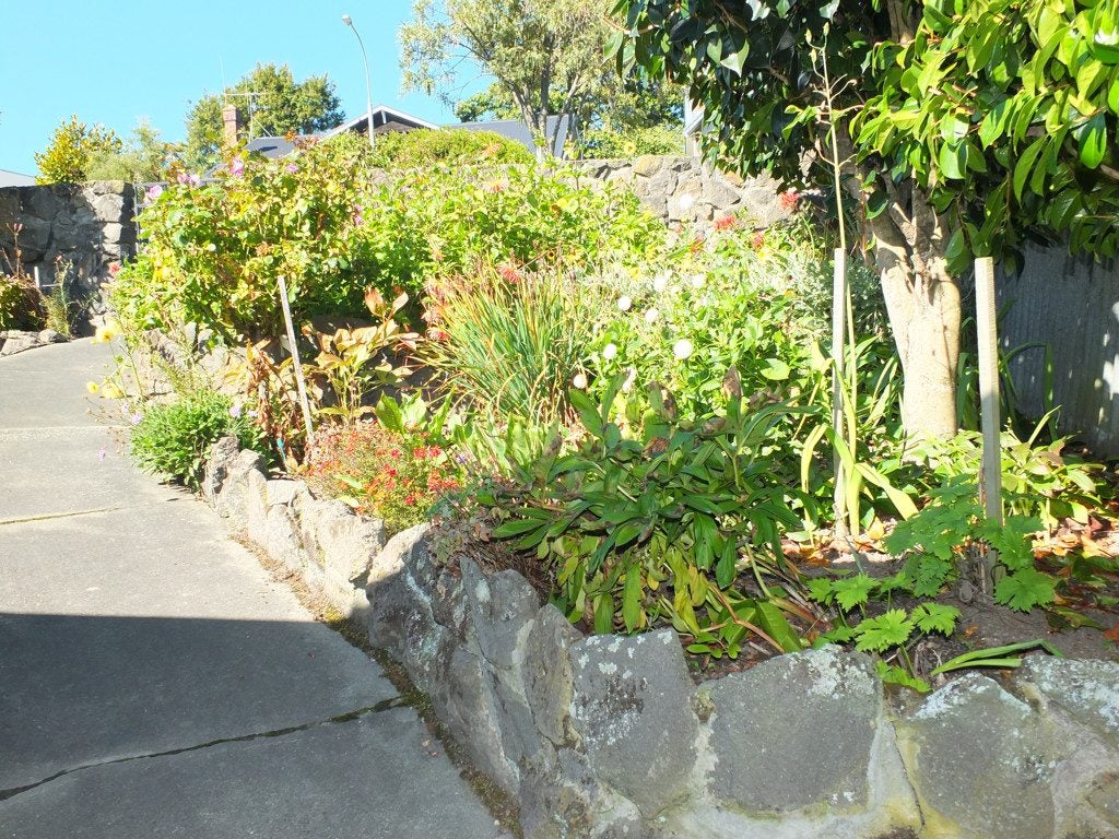 7 Orbell Street, Highfield, Timaru - Carousel 16
