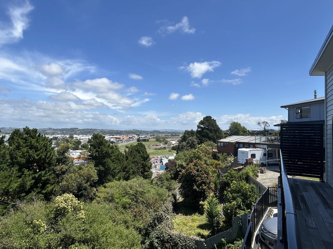 15 Delhi Road, Hospital Hill, Napier - Carousel 22