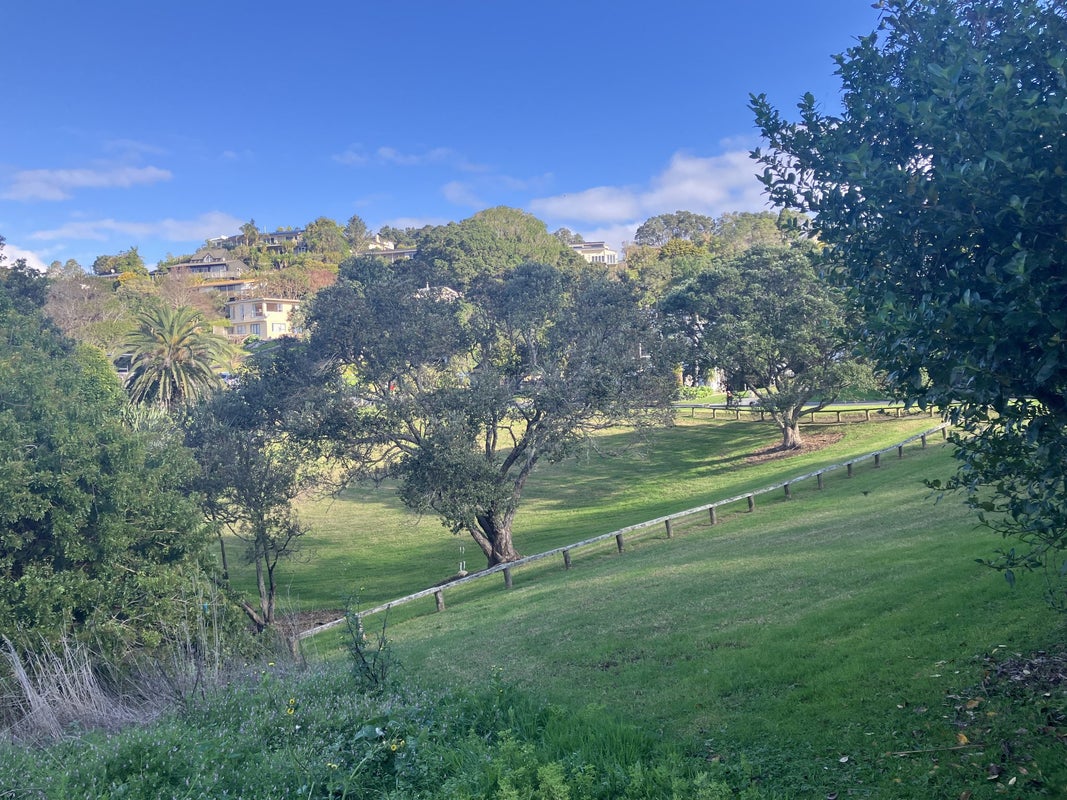 21 Glenelg Road, Red Beach, Red Beach - Carousel 15