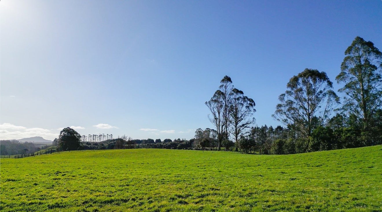 297 Kaharoa Road, Hamurana - Carousel 31