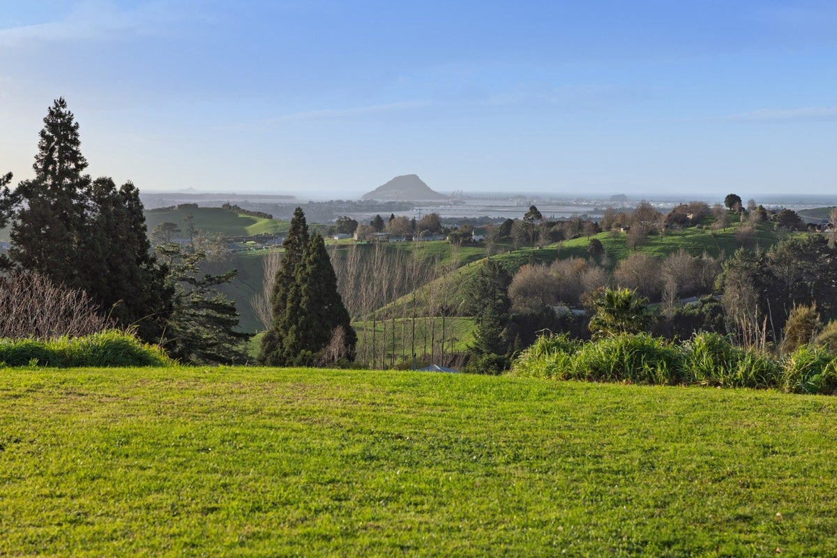 80B Neewood Road, Ohauiti, Tauranga - Carousel 2