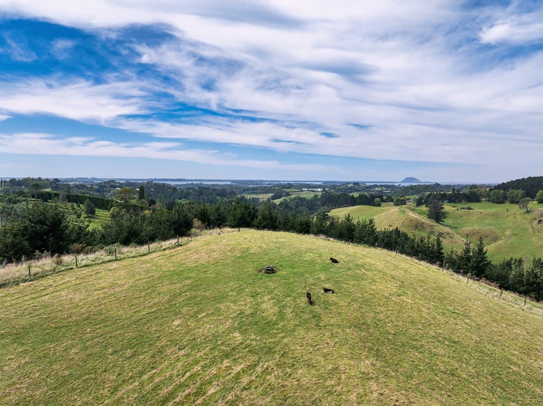 371 Esdaile Road, Whakamarama, Tauranga - Carousel 2