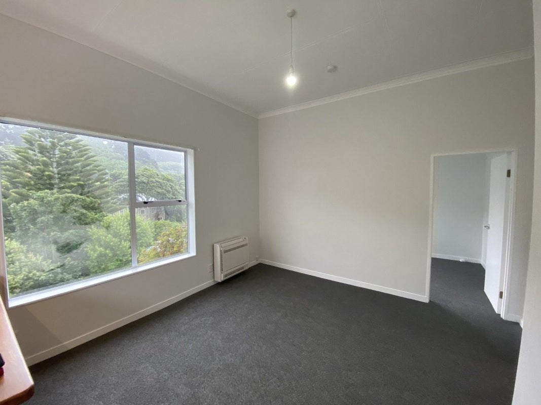 160 Hanson Street, Newtown, Wellington - Carousel 2