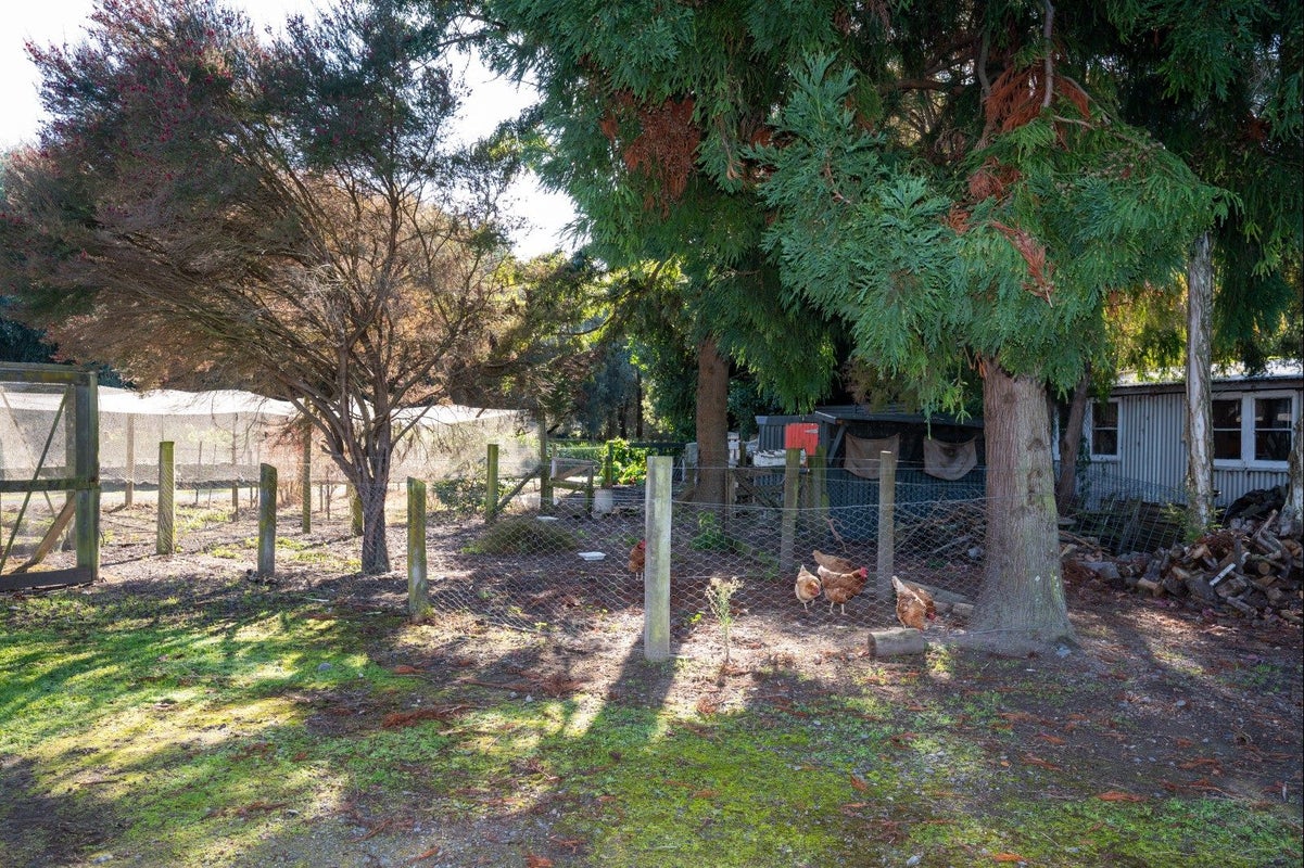 541 Napier Road, Mangateretere, Hastings - Carousel 44