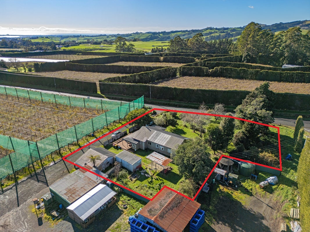 942 Oropi Road, Oropi, Tauranga - Carousel 22