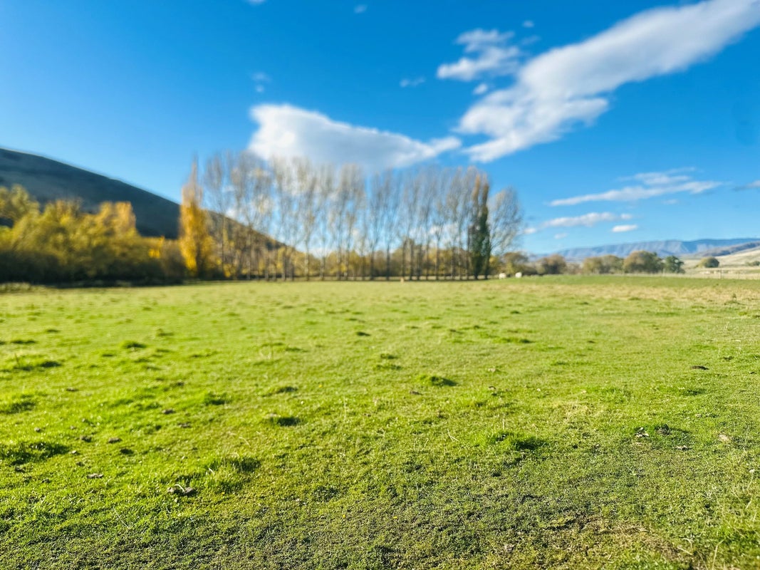 779 Ardgour Road, Tarras, Cromwell - Carousel 2