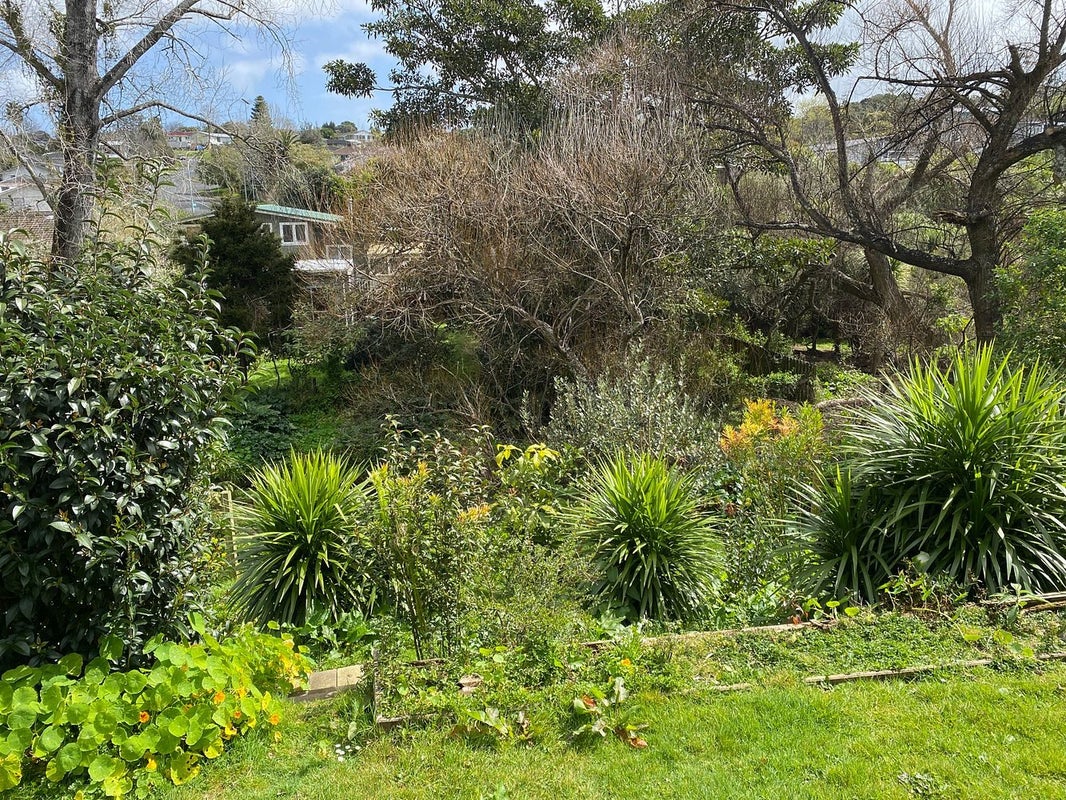 70 Robbies Road, Shelly Park, Auckland - Carousel 2