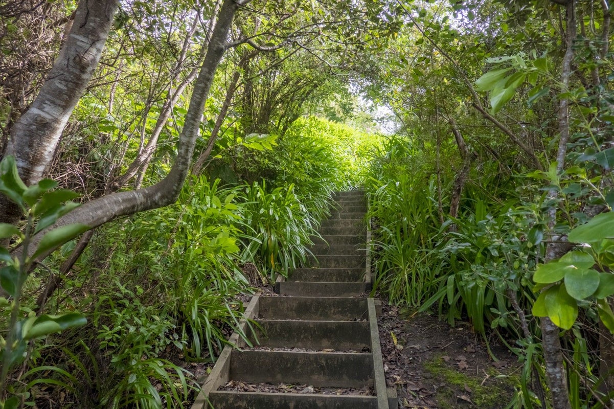 76 Grange Road, Hahei, Whitianga - Carousel 50