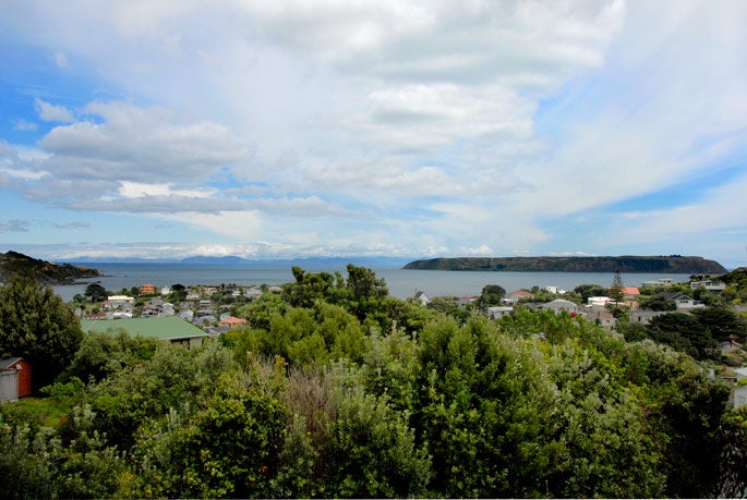 51 Herewini Street, Titahi Bay, Porirua - Carousel 19