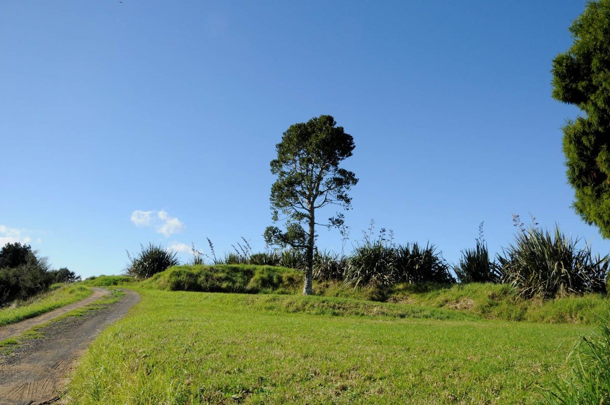 212 Wonderview Lane, Hakaru, Kaiwaka - Carousel 1