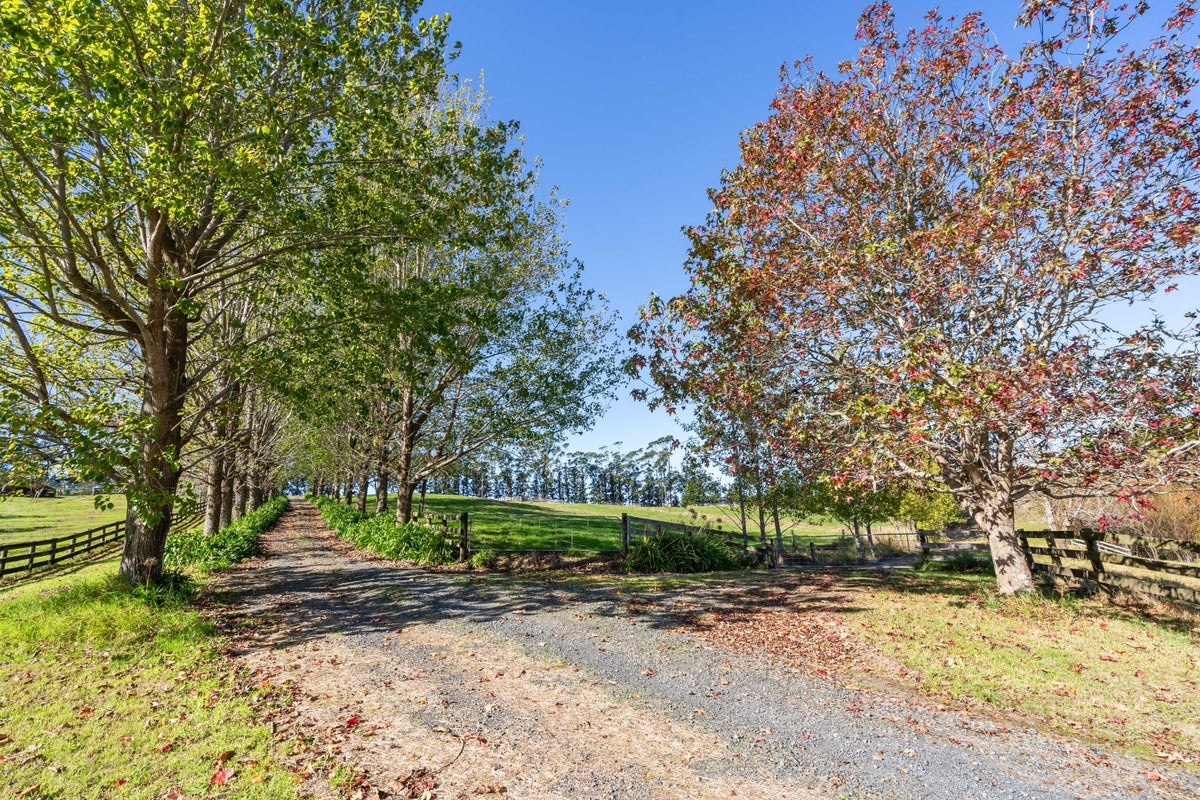 253 Attwood Road, Whangarei - Carousel 24