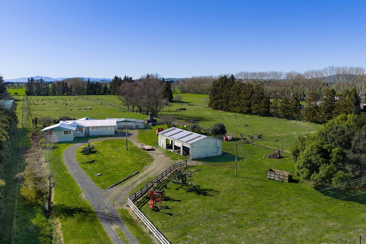 386 Marshmeadow Road, Newstead, Hamilton - Carousel 1