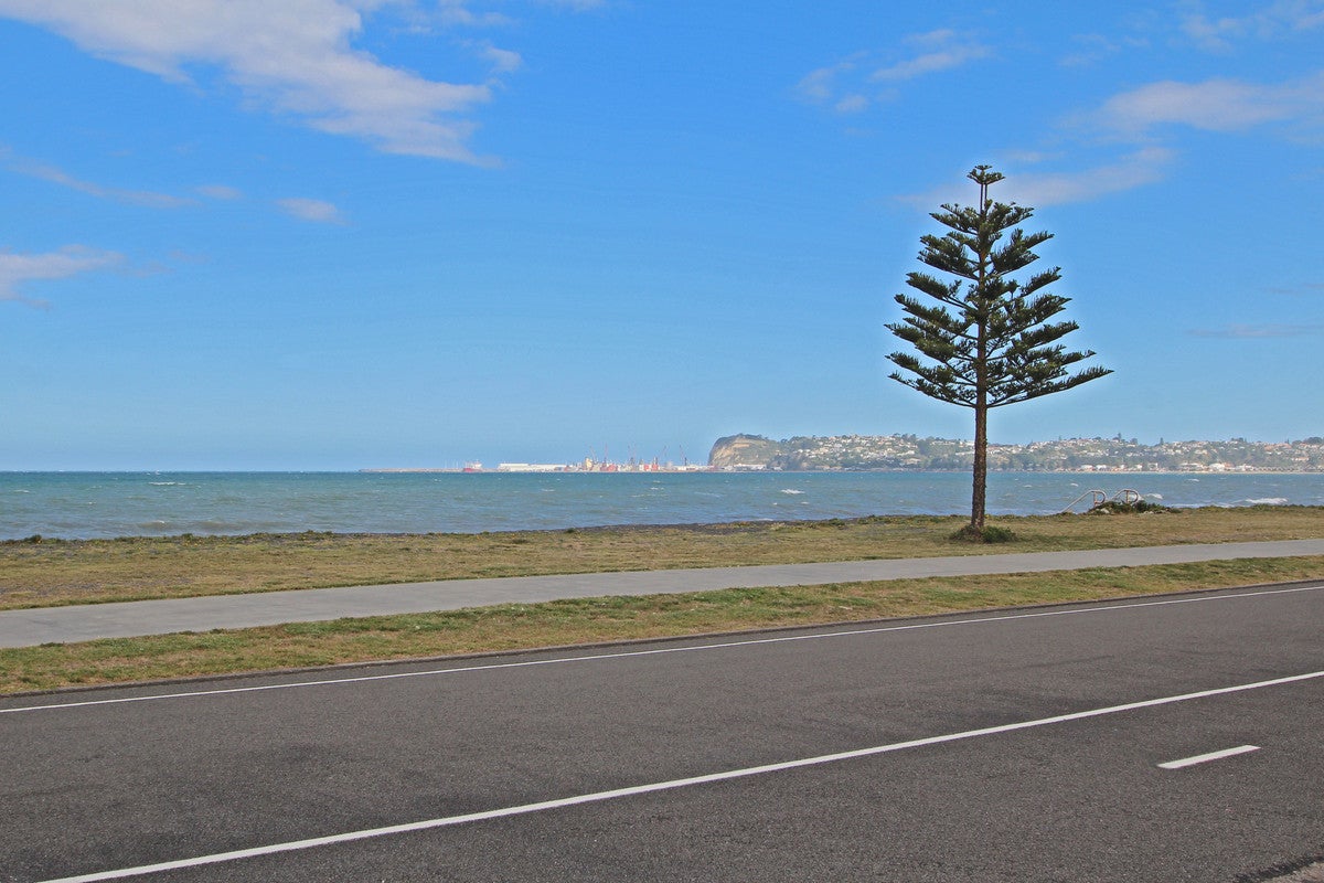 96 The Esplanade, Westshore, Napier - Carousel 2