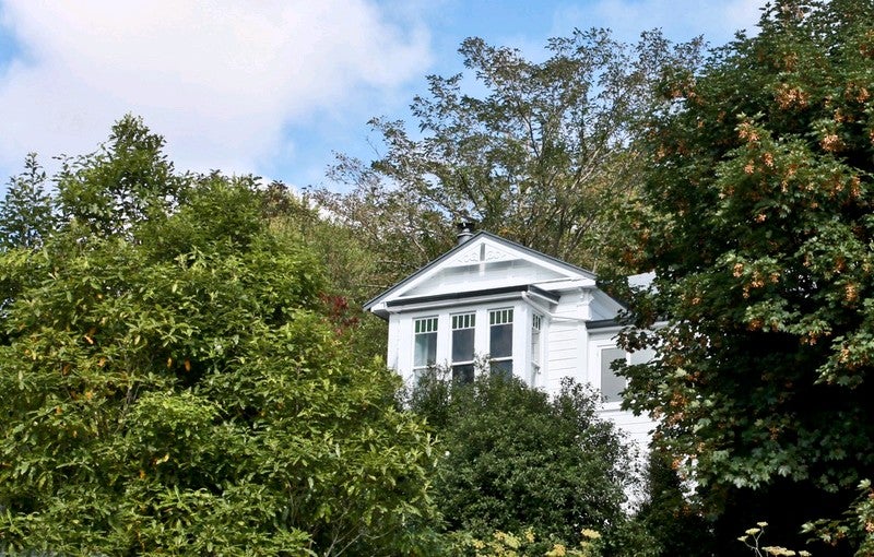 43 Wellington Street, Nelson South, Nelson - Carousel 15