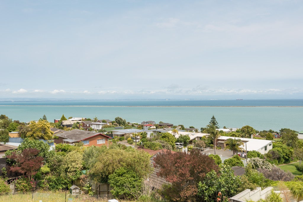 2 McConnell Place, Marybank, Nelson - Carousel 2