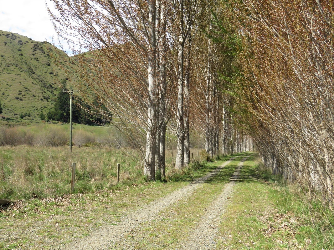 594 Hurunui Bluff Road, Hurunui, Hawarden - Carousel 8