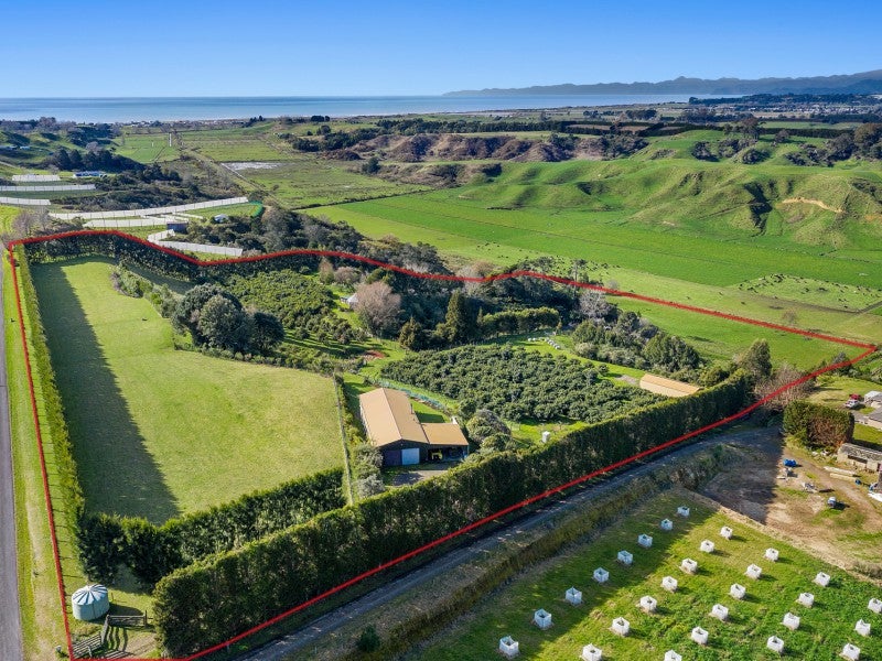 333 Paerata Ridge Road, Waiotahe, Opotiki - Carousel 1