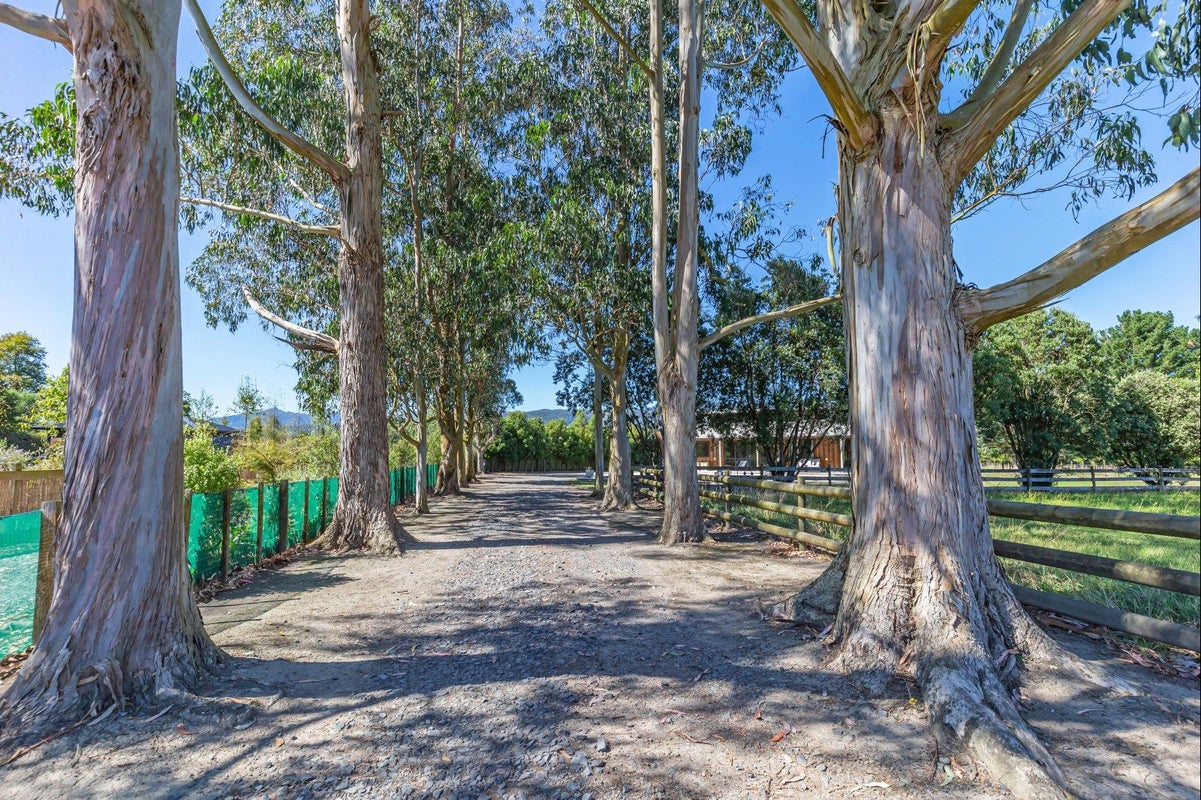 523 Arapaepae Road, OHAU, LEVIN - Carousel 21