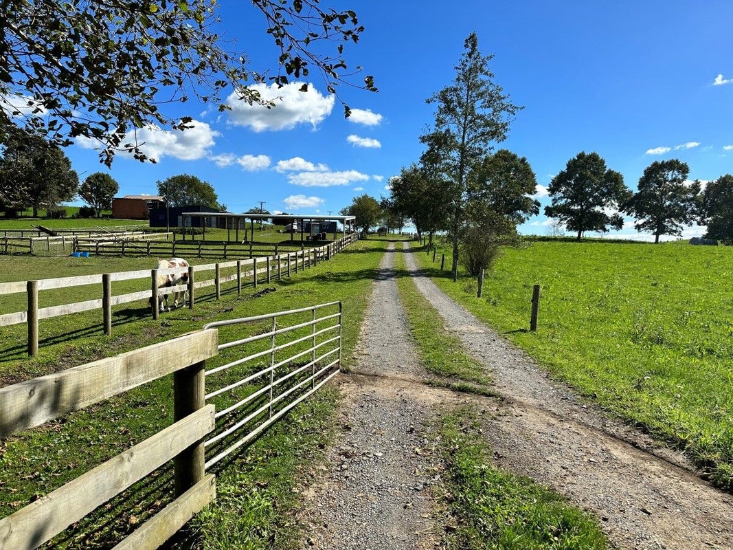 2119 Maungatautari Road, Maungatautari, Cambridge - Carousel 12