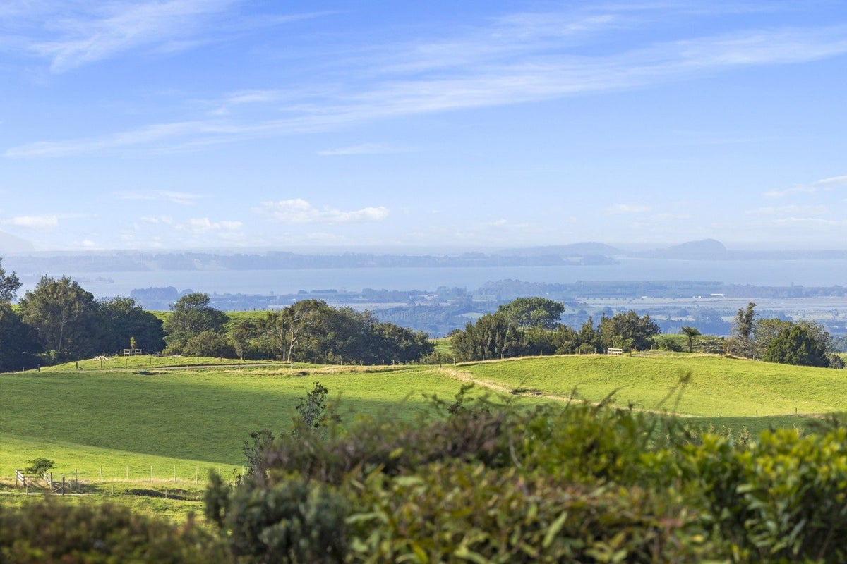 236A Tim Road, Whakamarama, Tauranga - Carousel 2