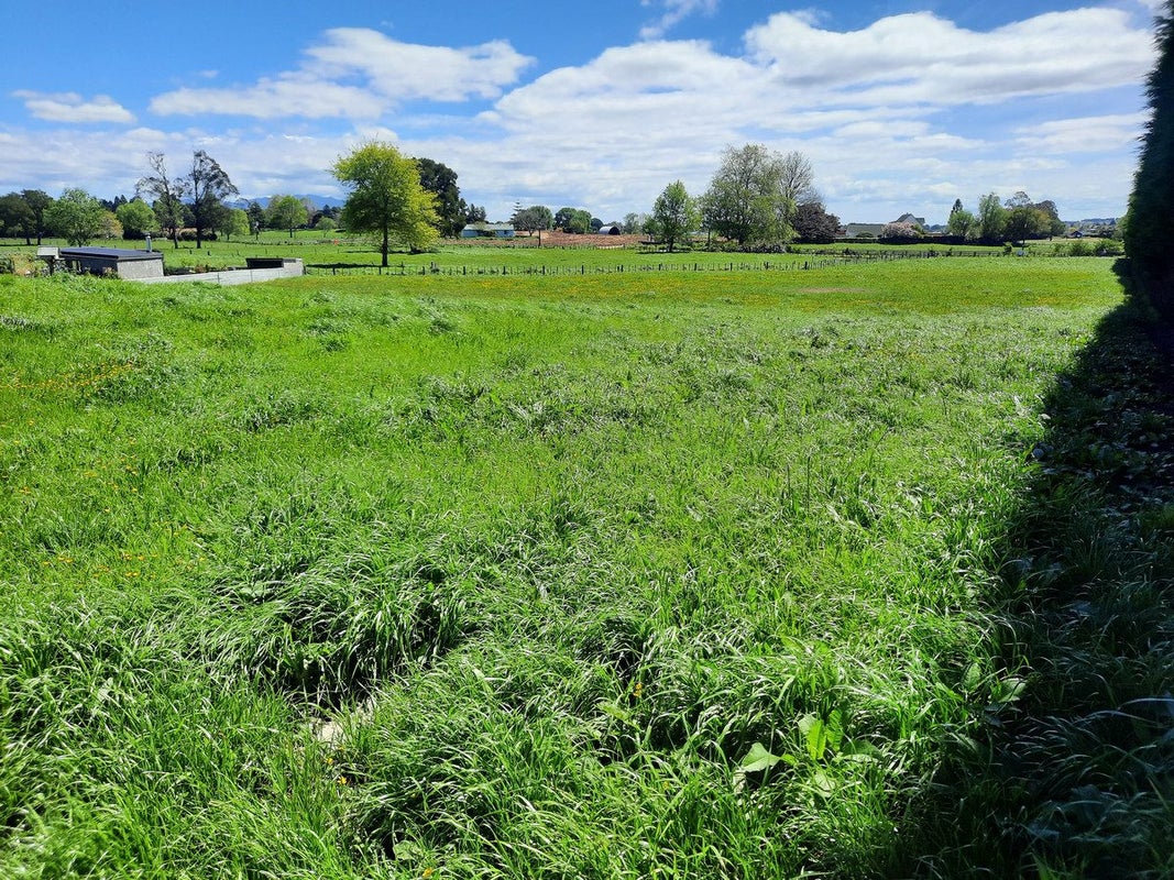 126 Flat Road, Kihikihi, Te Awamutu - Carousel 2
