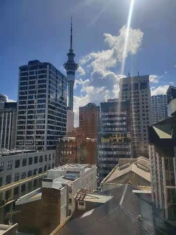 2205/1 Courthouse Lane, Auckland Central, Auckland Central  - Carousel 10