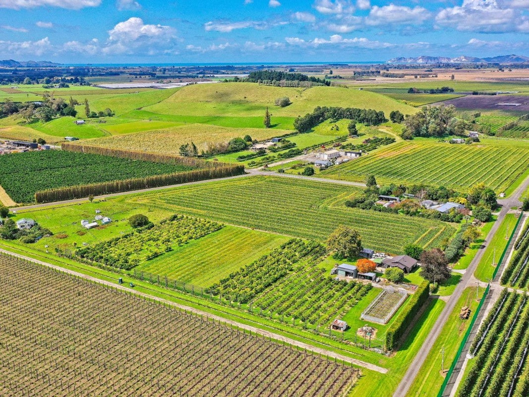 134 Kaimoe Road, Gisborne - Carousel 27